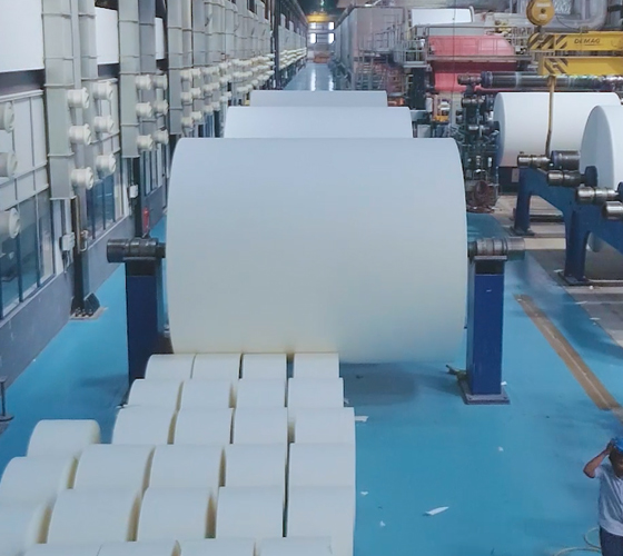 paper manufacturing